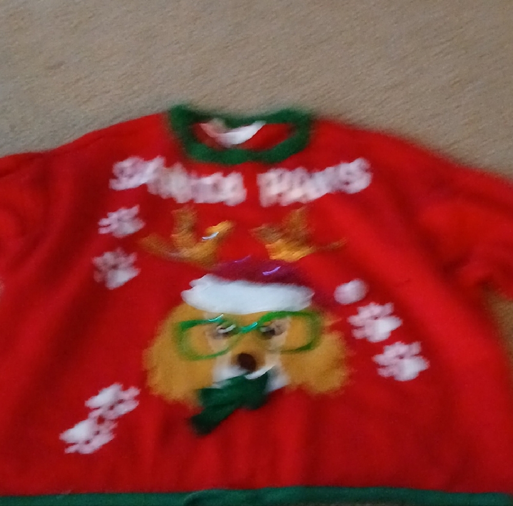Festive Red Sweater with Dog Design